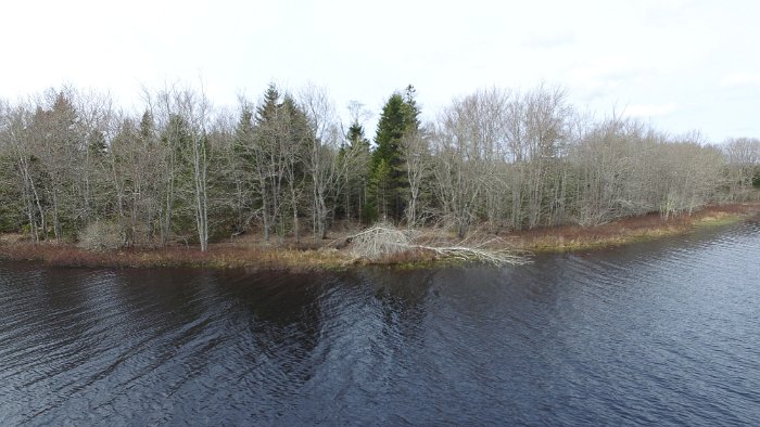 WentworthHalbinsel (84)